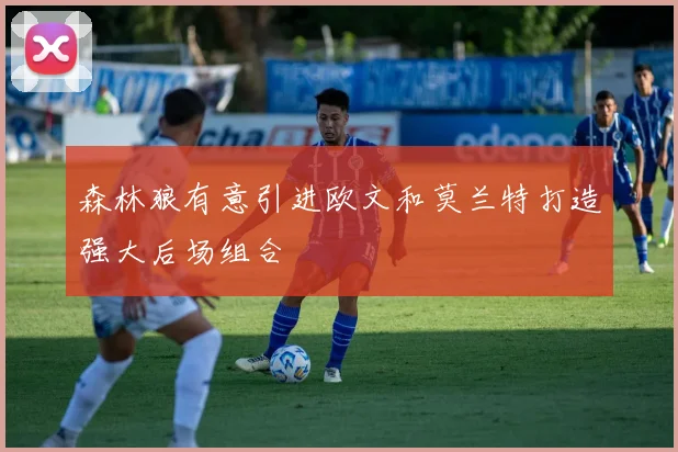 森林狼有意引进欧文和莫兰特打造强大后场组合