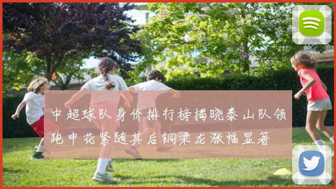 中超球队身价排行榜揭晓泰山队领跑申花紧随其后铜梁龙涨幅显著